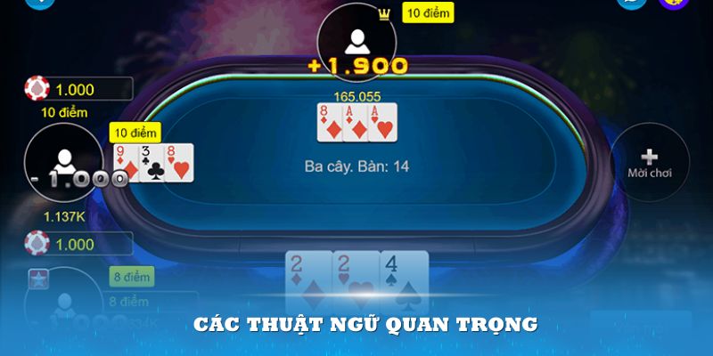 Nắm vững các thuật ngữ quan trọng để việc chơi game bài được tốt nhất