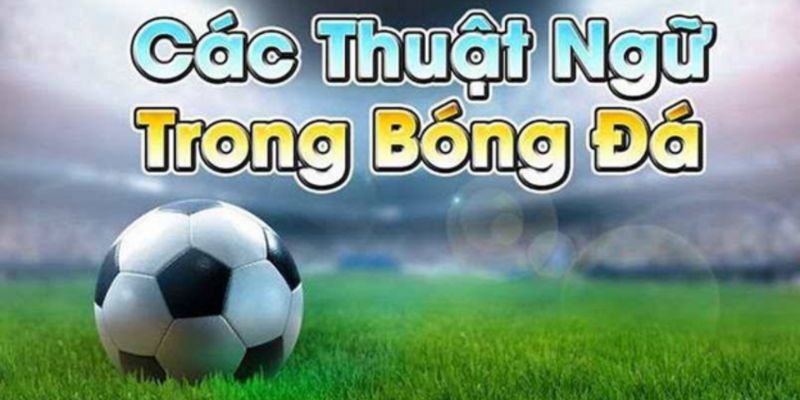 Giải thích thuật ngữ cá độ bóng đá xuất hiện trong kèo cược Châu Âu