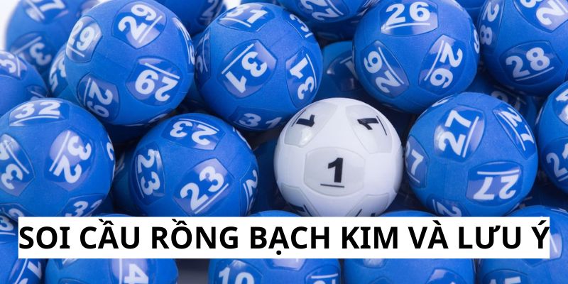 Những điểm cần chú ý khi tham khảo thông tin tại Bạch Kim