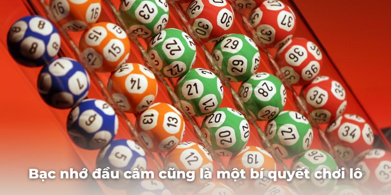 Bạc nhớ đầu câm cũng là một bí quyết chơi lô khung 5 ngày